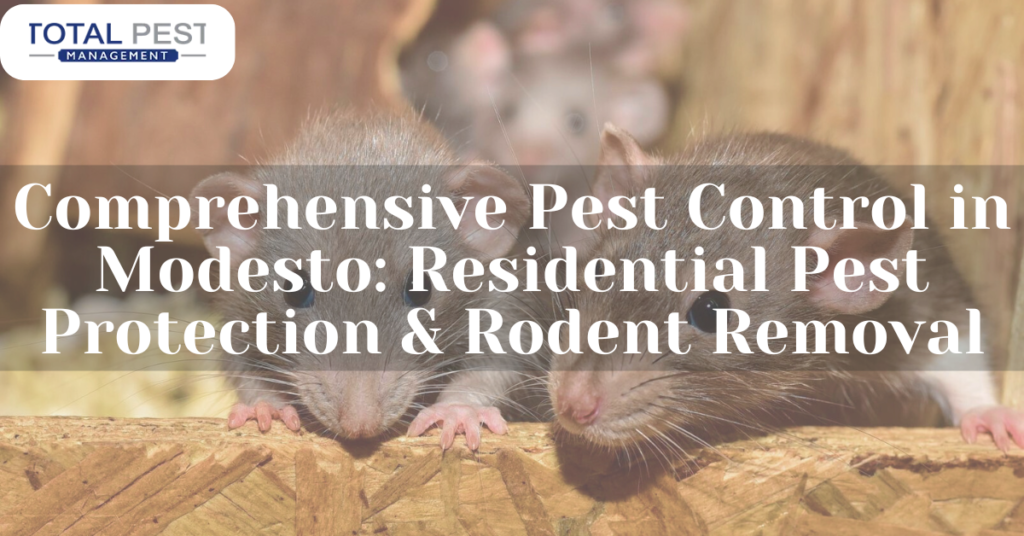 Pest Control in Modesto