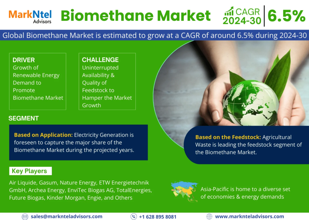 Global Biomethane Market